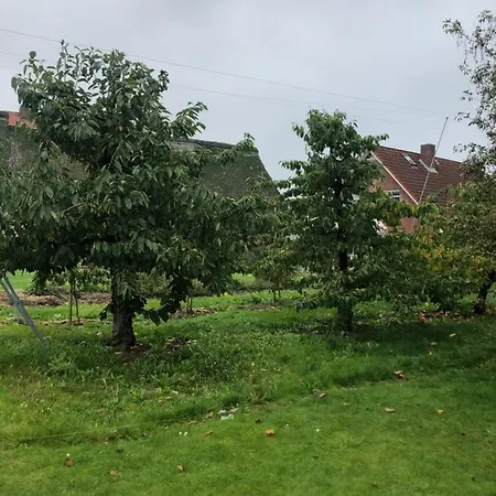 Feriehus Ferienhaus Nahe Hamburg Airbus Apfelgluck *